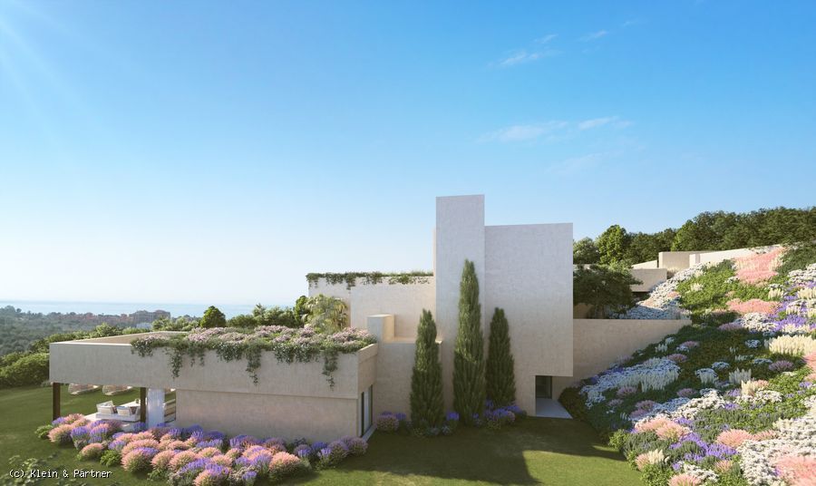Luxury Villa for sale or Plot with project in Los Flamingos Nº 17